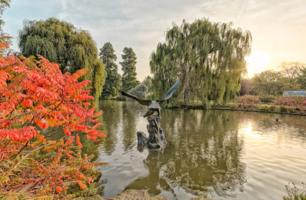 Regent’s Park 360 Photography